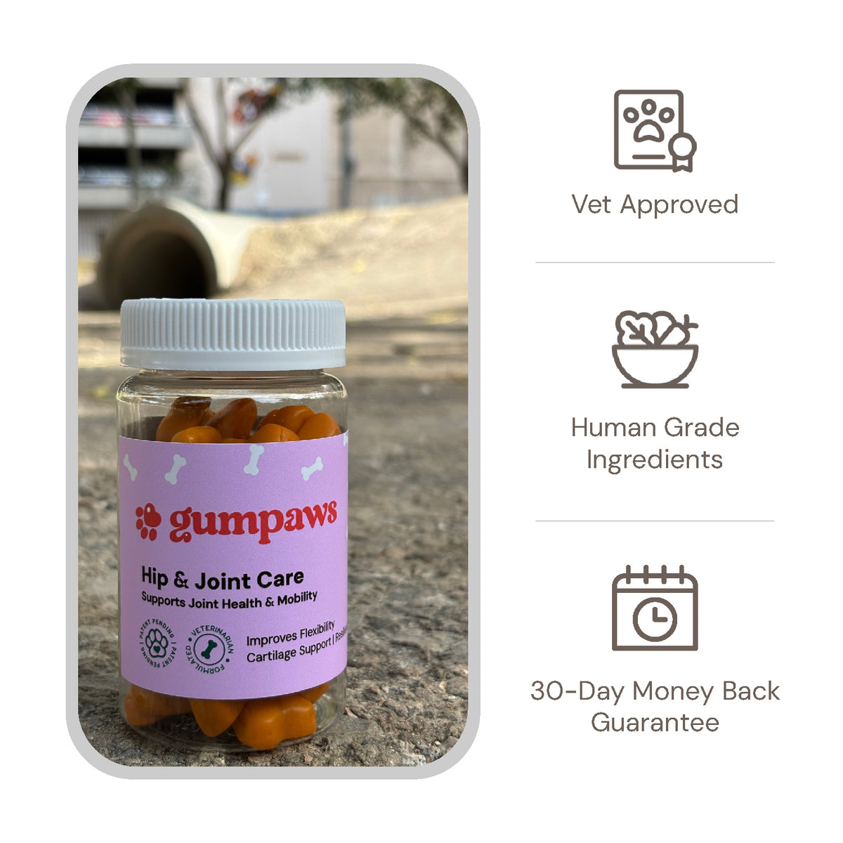 Hip & Joint Care