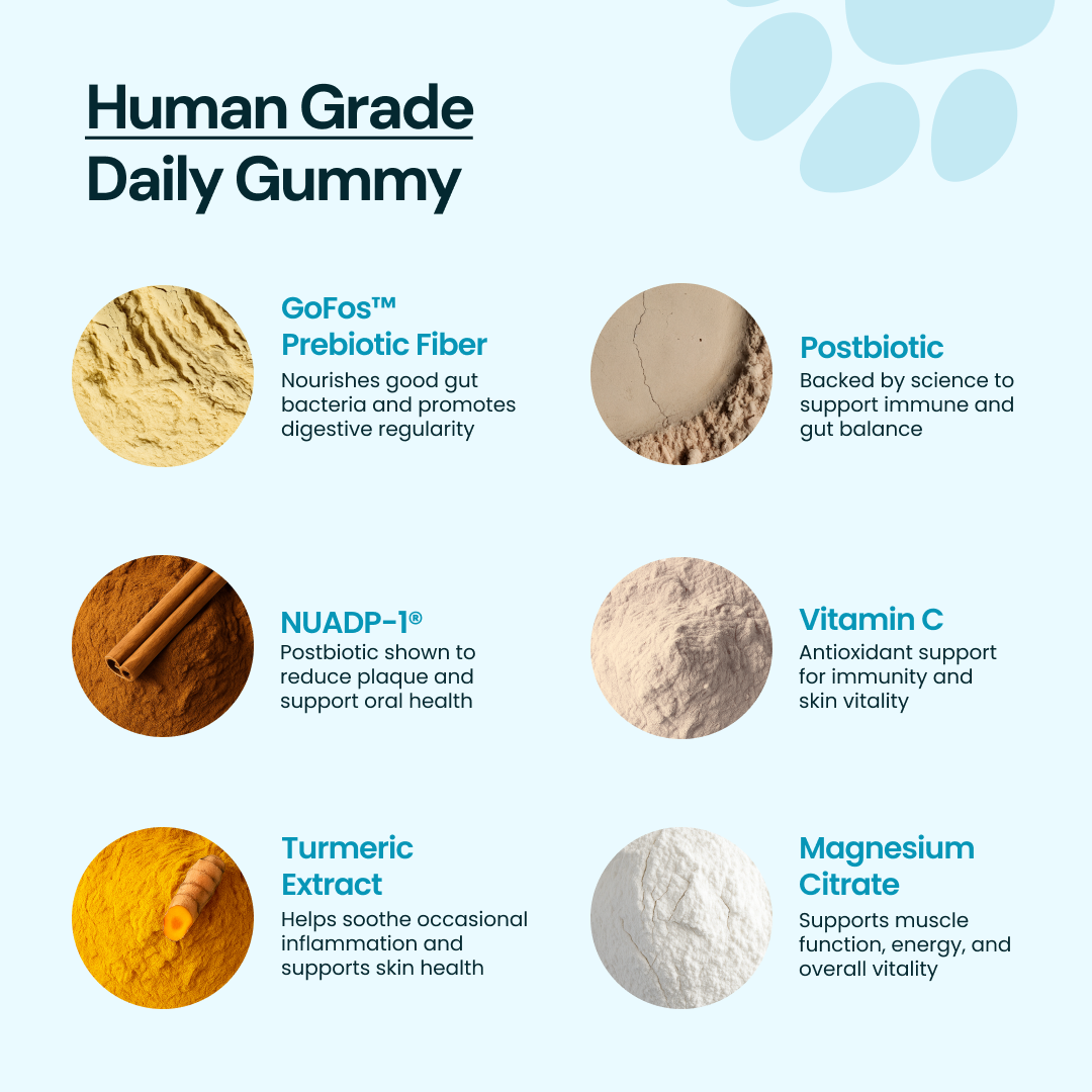 Daily Multivitamin