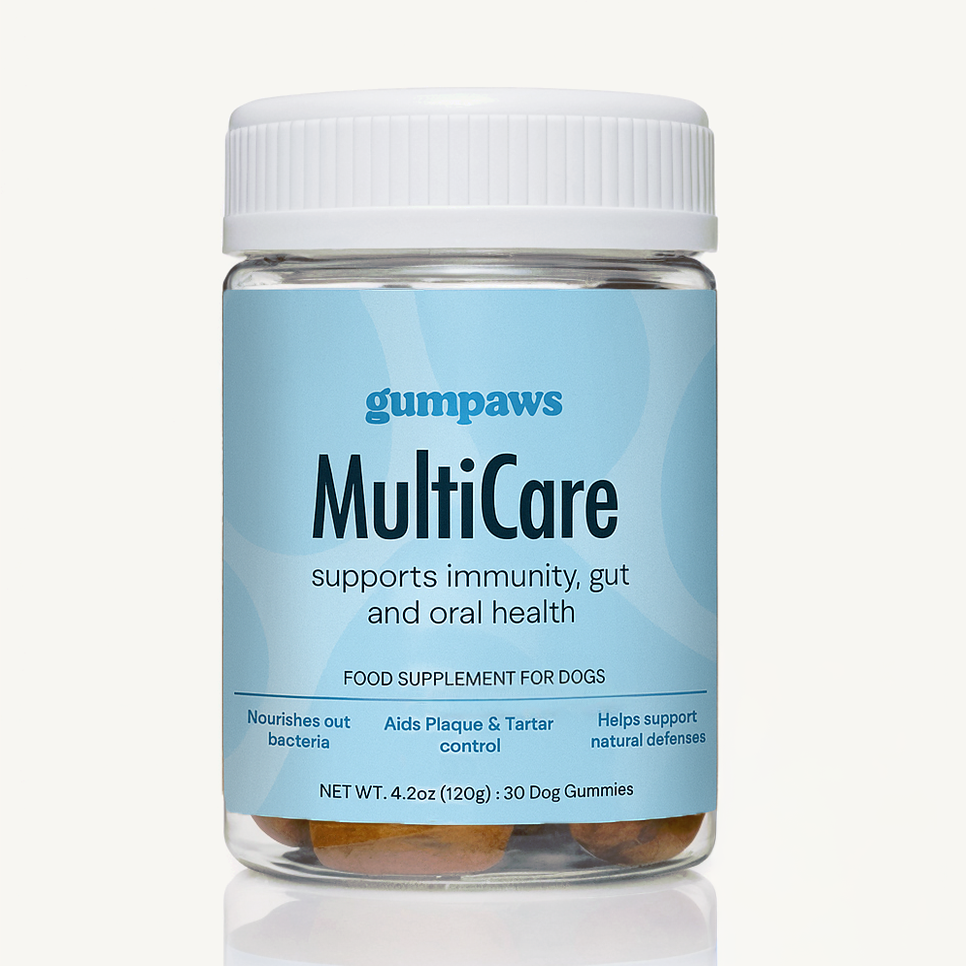 Daily Multivitamin