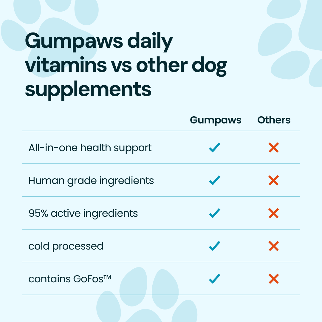 Daily Multivitamin