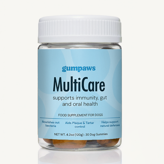 Daily Multivitamin
